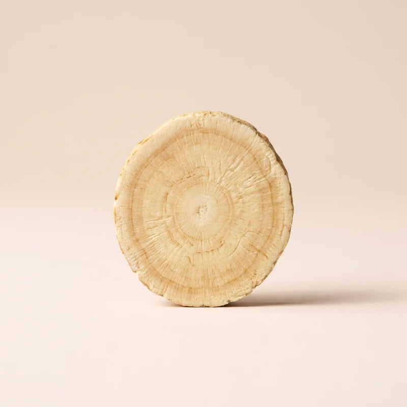 Macro of Panax Ginseng Root Extract